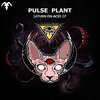 Pulse Plant - Echo Chamber (Original Mix)