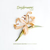 Manu Pavez、Gaspar Aguilera - Principle of Harmony