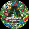 Tremonjai - Looking to Infinity (Orignal Mix)