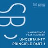 Nanokosmos、Maureen - Uncertainty Principle (feat. Maureen)(Heaven Above Edit)