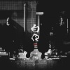 凯瑟喵 - 白夜