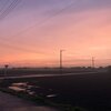 Satoshi Honjo - Nightfall TEK Ver