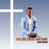 Sean David - You Are Great