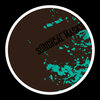 Frank Ross、Kamil Van Derson - Surgical Masks (Original Mix)