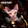 Pulse Plant - All I Need (Original Mix)