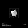 Roy Hasson - Fickle Reality (Original Mix)