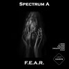 Spectrum A - F.E.A.R. (Original Mix)