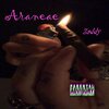 Araneae - Zaddy (Explicit)