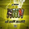 Stingray - No Hook Needed (Explicit)