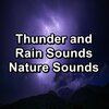 Nature Sounds、Nature Sounds Nature Music、Nature Sounds for Sleep and Relaxation - Heavy Rain for Brain Relaxation and Mindfulness in the Evening