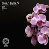 Moko、Bianca Po - Personality (Gius-S Remix)