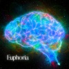 Ange - Euphoria