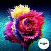Brett Edwards - Color