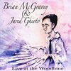 Brian McGravey - McGravey Train (Live)