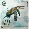 Hallex M - AFRO HOUSE Vol 1 (Continuous Mix)