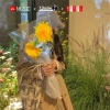 7嫂 - Pure Love