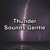 Baby Rain、Rain Sounds for Sleep、Sleepy Rain - White Noise Rain and Nature Sounds with Sleeping Music
