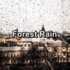 Deep Sleep Music Collective、Relax Meditate Sleep、Music for Deep Sleep - Calm Rain Storm Relaxing and Loopable for a 10 Hours Sleep