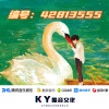 一只鹅、精彩啊志 - 潮汐 (DJ弹鼓版)