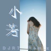 R7 - 小芳 (DJ版)