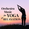 Spook Orchestra、Ludwig van Beethoven、Yehudi Menuhin、Sinfonia Varsovia - Symphony No. 6 In F, Op. 68- Pastoral- Andante Molto Mosso
