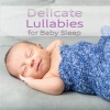 Sleeping Baby Songs、Sleeping Baby Aid、Sleep Baby Sleep、Serafino Rudari - Lovely song for a lovely baby (Johanna vocal)