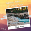 Baby Sleep Baby Sounds、Classical Sleep Music、Complete Spa Music - Mindful Breathing