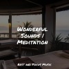 Relaxing Sleep Sound、Meditation Zen、Asian Zen Spa Music Meditation - Forest Frolicking