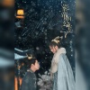 獨立小橋風滿秀 - 雪花叹