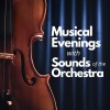 Waltham Orchestra、Pyotr Tchaikovsky、Mikhail Terian、moscow chamber orchestra - II. Pezzo in forma di sonatina