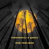 Qarcii、Turkoshvili - Our Feelings
