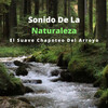 Sonidos De La Selva、Ruido Del Sueno、Sonidos de Cascadas - Música De Una Suave Salpicadura