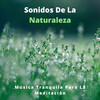Sonidos de la Naturaleza Ruido Blanco Para Bebes、Calma、Meditación Trascendental - Música Que Te Toca El Corazón