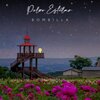 Bombilla - Polvo estelar
