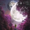 Shiloh Dynasty、Jazz Brar - Still Feel You Here
