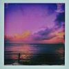 burbank - two flies