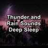 Nature Spirit、Nature Recordings、Sounds of Nature White Noise Sound Effects - Heavy Rain For Quiet Nights Relaxing and Loopable for a 10 Hours Sleep