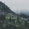 Zen Meditate、Nature Sounds、Calming Music Academy - Stressless