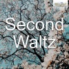 Theodore Kuchar、National Symphony Orchestra of Ukraine - VII. Waltz No. 2