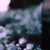 Pepo Galán、Lee Yi - Zaragoza-Rosa