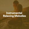 Healing Music Academy - Instrumental Relaxing Melodies, Pt. 1