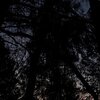 Oxiii - gothseason (Explicit)