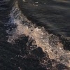 王哲 - 解释