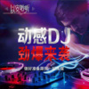 李以安 - 今夜的雨是谁的眼泪 (DJ默涵版)