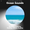 Ocean Sounds、Nature Sounds、Ocean Sounds by Melina Reat - Ocean Sounds for Cats