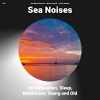 Sea Waves Sounds、Ocean Sounds、Nature Sounds - Ocean Noises
