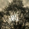 Christopher Jackson - Temp