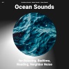 Sea Waves Sounds、Ocean Sounds、Nature Sounds - Ocean Waves for Studying
