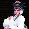 京剧 - 刘桂娟-京剧《大登殿》选段