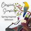 Waltham Orchestra、Pyotr Tchaikovsky、Mikhail Terian、moscow chamber orchestra - II. Pezzo in forma di sonatina